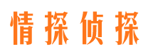 秀峰侦探